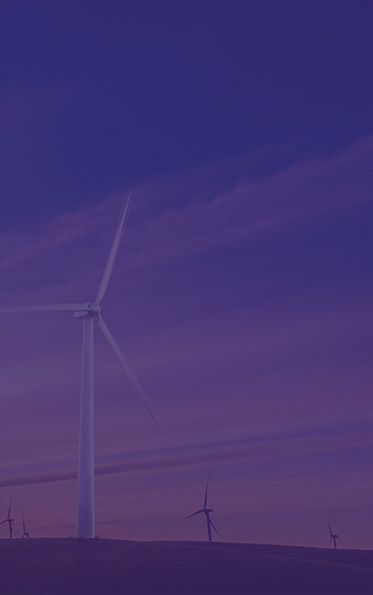 taptap开户-taptap体育注册